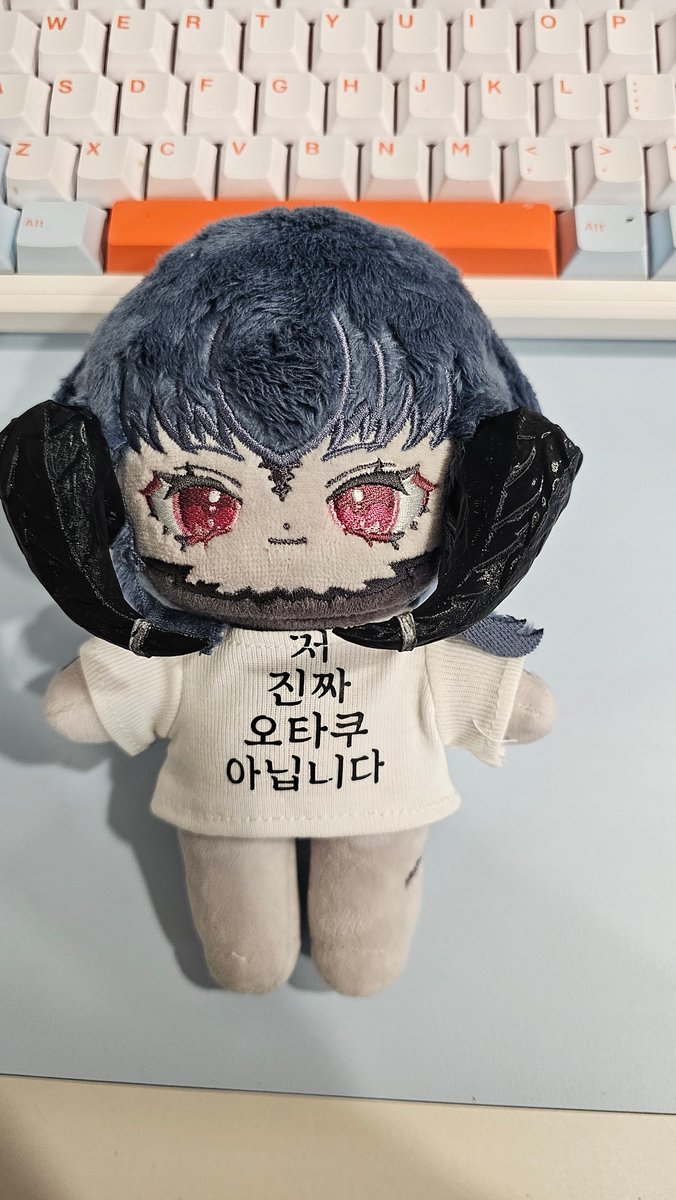 진돌히디 인형 옷 15깅한테 맞음 개웃김