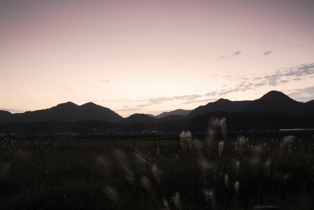 PhotoYamakawa's tweet photo. My legs hurt so much I just want to cry

#Photography #NaturePhotography #NatureLovers #NFTPhotography #MentalHealthAwareness #PainAndBeauty #LifeWithDisability https://t.co/205cuCjOzy