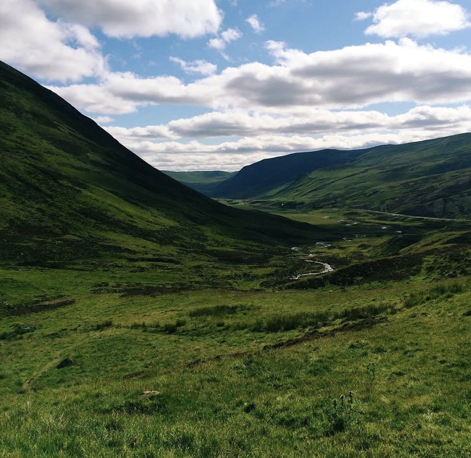 Pamela Di Nardo tweet media