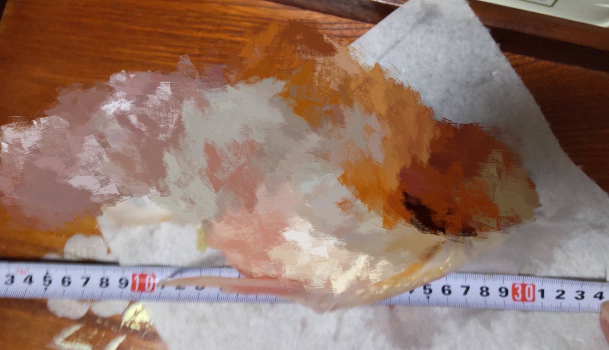 inu_bag_11's tweet photo. 実家の金魚が亡くなった連絡が来た。
祖父（故人）が大切に育てた形見の金魚なので寂しい。
推定年齢25歳以上・体長30㎝・重さ700g
あまりにも立派すぎる最期であったってかデッッッッツｯｯｯｯｯｯッッッ���カ！？！！！？⁉️⁉️！？！？！！！？⁉️⁉️！？！！！？ https://t.co/y7WGbbhAxC