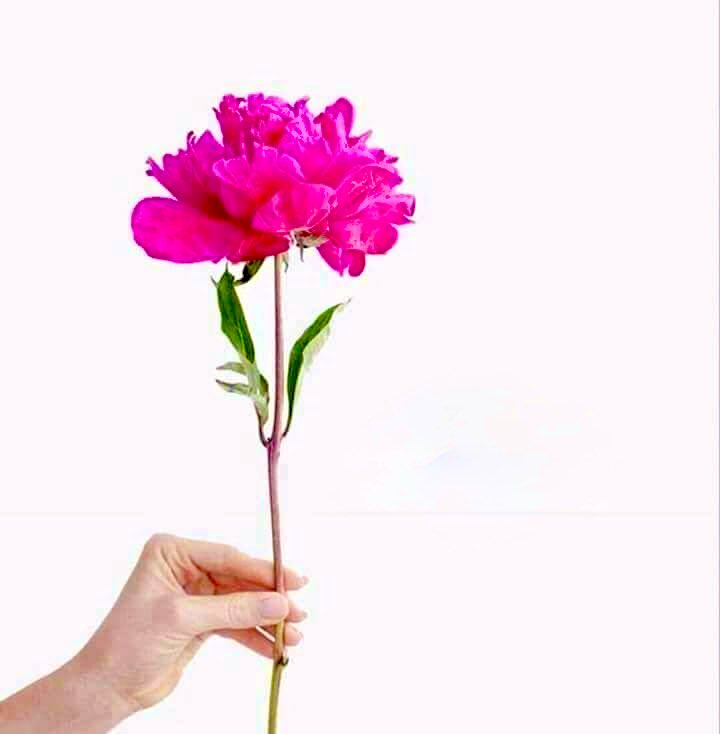 Zaman geçer, takvimler değişir…

Kendini doğru ve güncel bilginin ışığıyla aydınlantanlar,  zamanı aşar, sonraki nesilleri de aydınlatır.

Yaşamak bir bilinçtir.