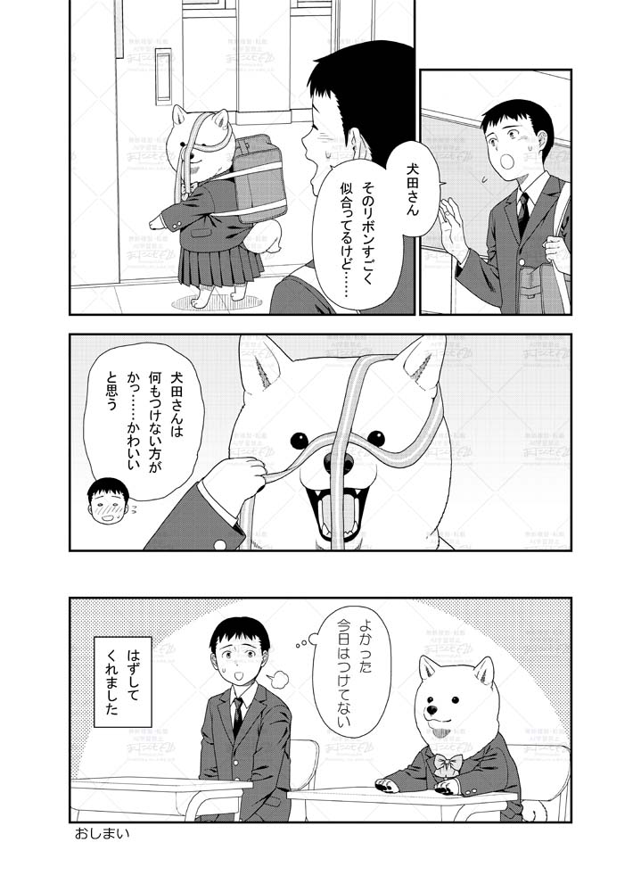 (2/2) 