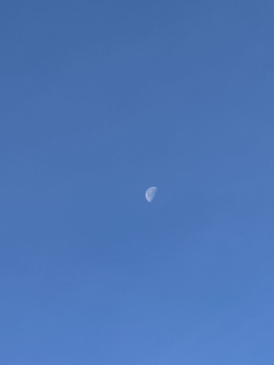 Questa luna ha scambiato il giorno con la notte 🌙 (e anch’io ho sonno 🥱)