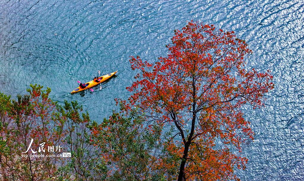PDChinese's tweet photo. 【浙江杭州：千島湖又迎一年紅葉季】11月10日，浙江省杭州市淳安縣千島湖金峰鄉紅葉灣水域，形態各異的島嶼層林盡染，秋色如畫。 https://t.co/XrnMr3mDHo