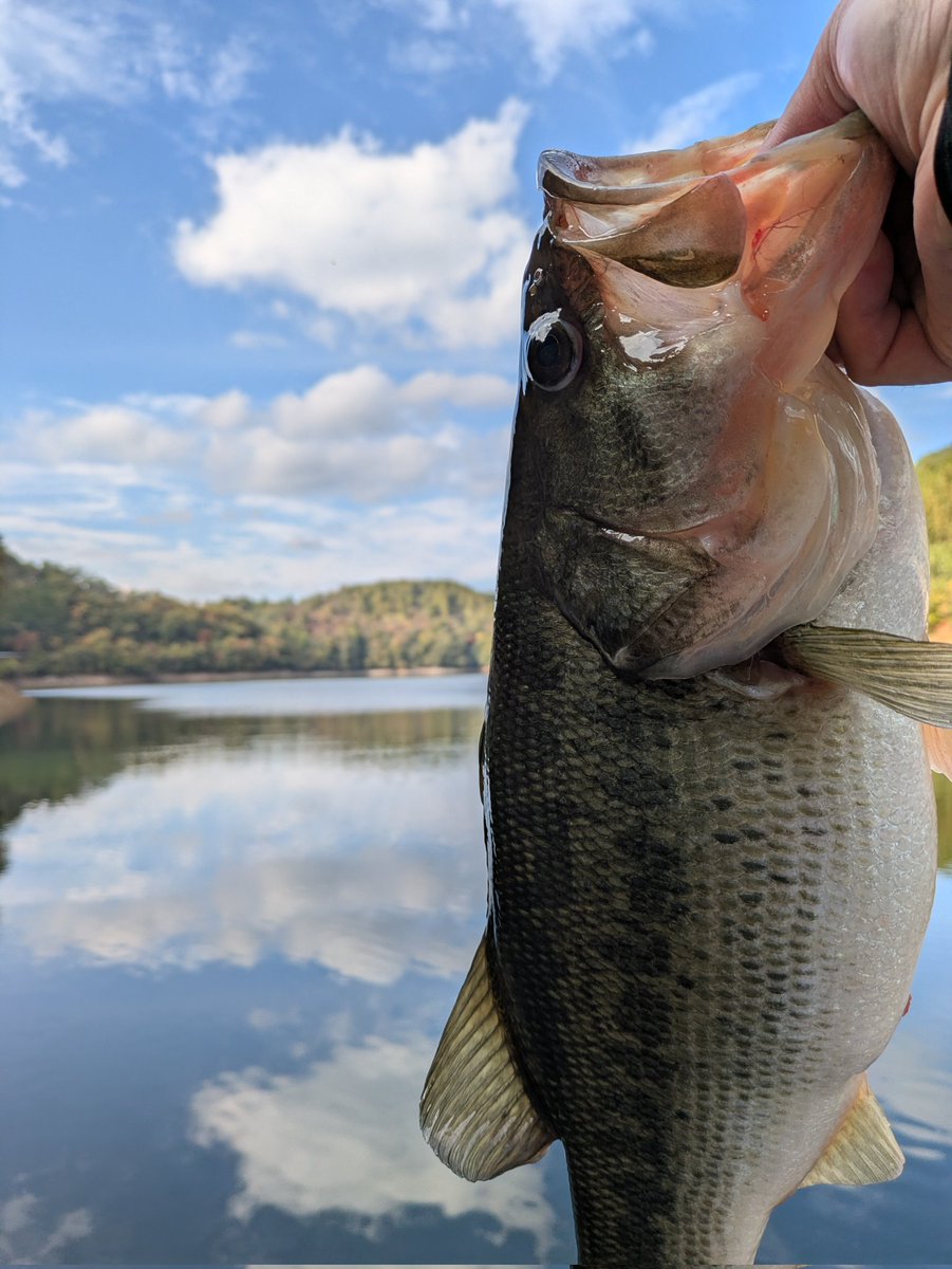 うちゅう tweet media