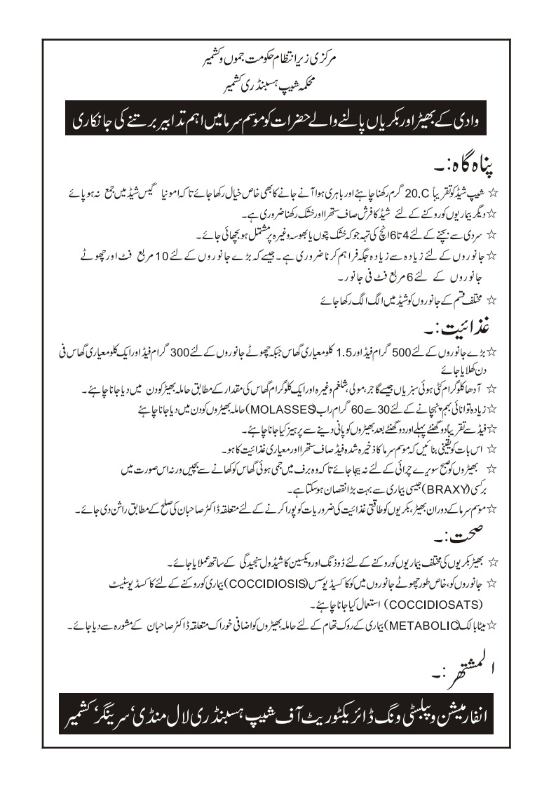 Directorate Of Sheep Husbandry Kashmir tweet media