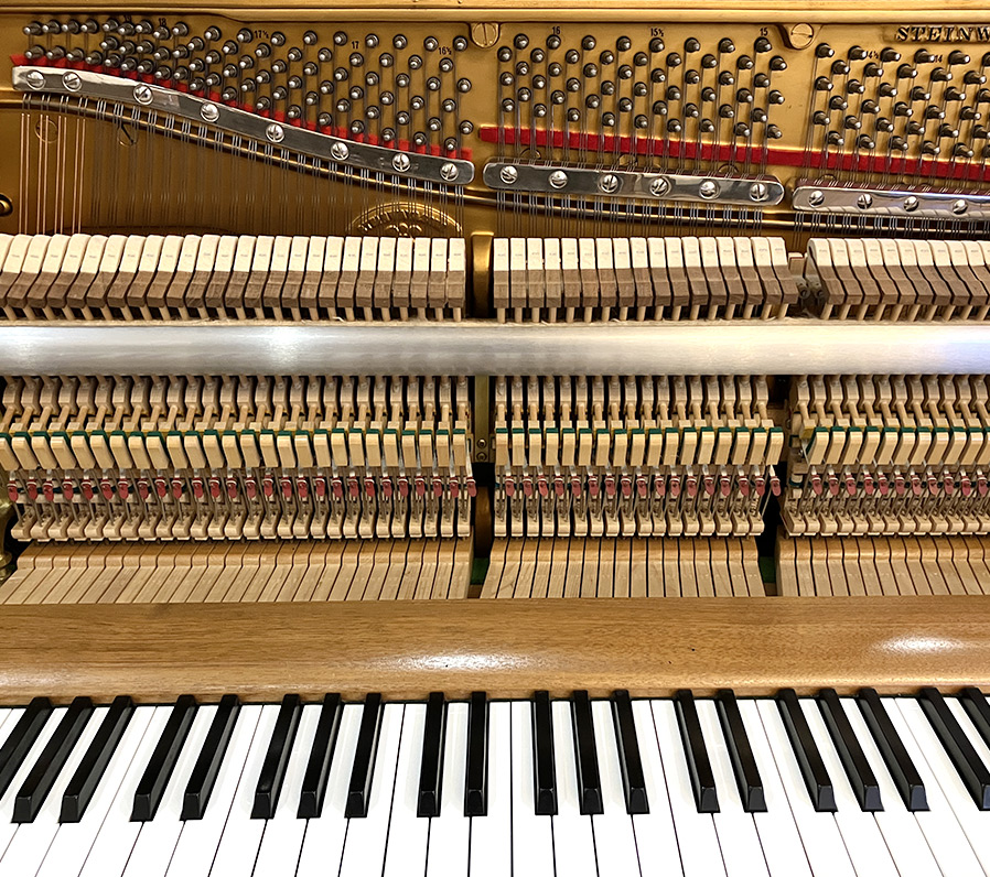 importedpiano's tweet photo. 今日のピックアップピアノは、

低音から高音までバランス良く、
透明感のある明るい音色。

【新入荷商品】
「スタインウェイ Z-114 1972年製」です。

詳しくは
https://t.co/xsa717tpEe

#スタインウェイ #スタインウェイピアノ #steinway #輸入ピアノ #輸入ピアノジャパン #piano #importedpiano https://t.co/TBu7tryHbl