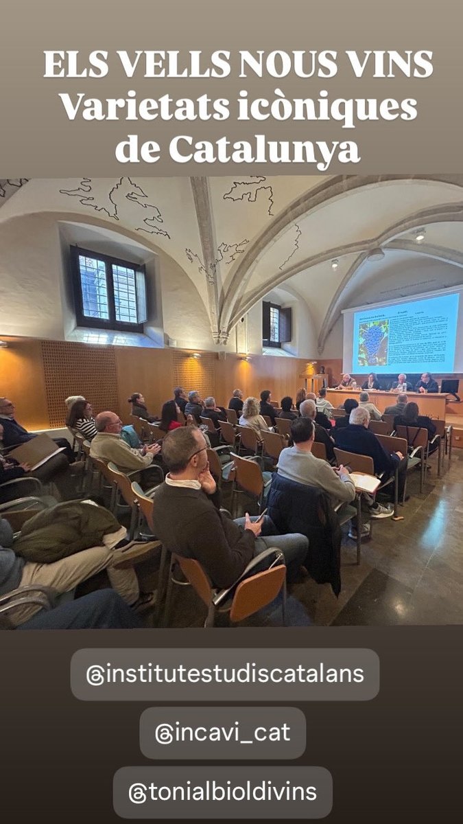 EnotecaDivins's tweet photo. Ahir a l’Institut d’estudis catalans es va presentar la jornada ‘Els vells nous vins’ amb tres ponències, a una d’elles vaig donar la meva visió com a #sommelier d’evolució i futur dels vins de varietats recuperades i es van poguer tastar 10 d’ells. @incavicat #vicatala https://t.co/E9ZPQ3vFH7