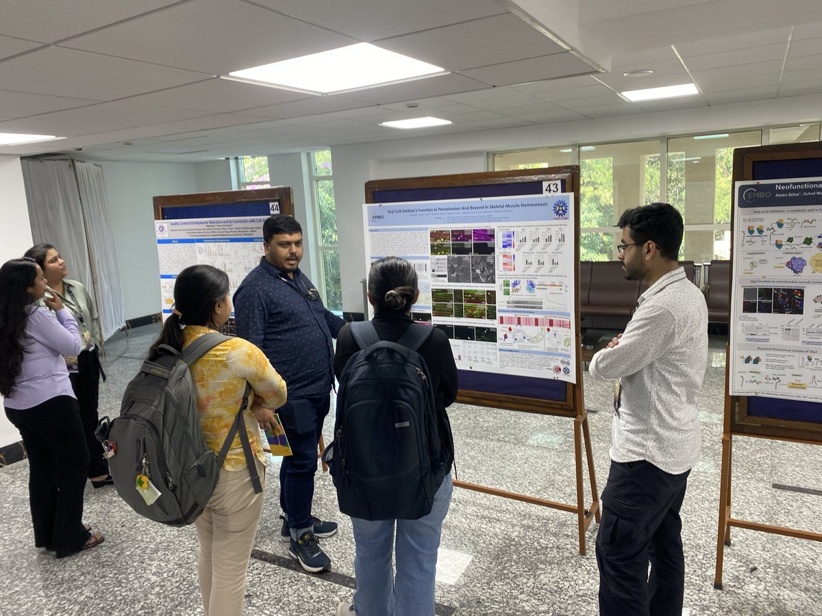 The D2 Lab tweet media