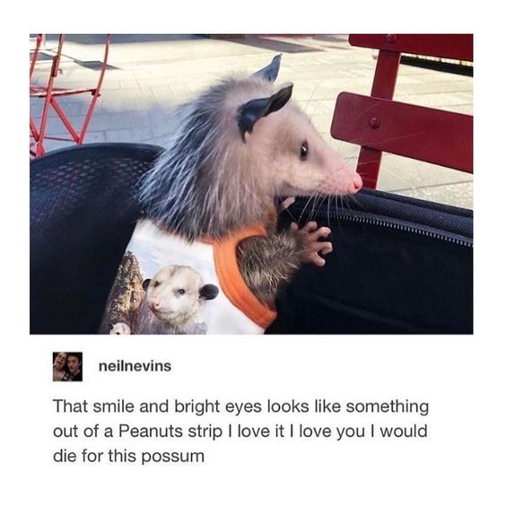 WholesomeMeme's tweet image. 