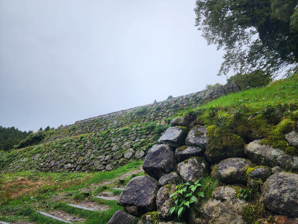 shibabango's tweet photo. #日本百名城
【34 七尾城】

日本五大山城の１つ。雨脚悪く強風の中、初登城。
畠山氏の居城であったが謙信に攻め落とされる。
ここも至る所で地震の爪痕が痛ましく、立入禁止箇所あり。
資料館奥の懐古館の方の説明では、8割強までの復旧にあと数年掛かるだろうとのこと。 https://t.co/lHZmLqNLnE