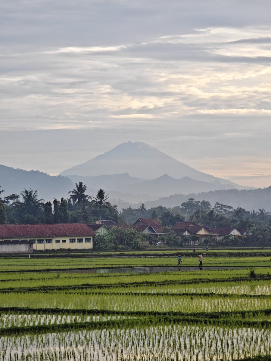 Antutu1234's tweet photo. @KucengTerbanggg Iqoo12
Langsung jepret tanpa filter https://t.co/EFZ3b3lCMu