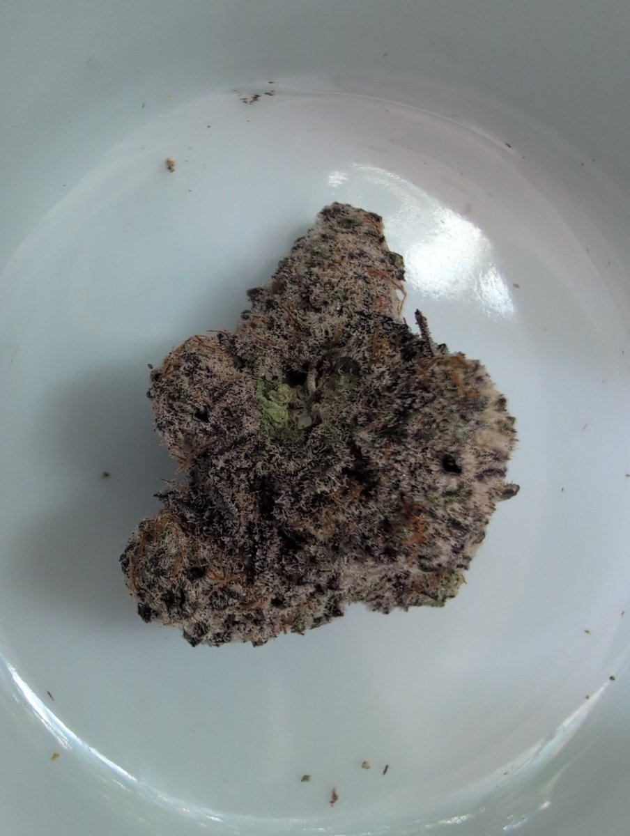 BUDS9✄ tweet media