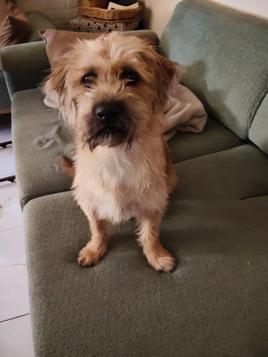 Bugra Kuki tweet media