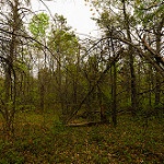 mileyisc00ll's tweet image. Cảm hứng từ màu xanh thẳm của Umi đã tạo nên thiết kế thời trang này. Món phụ kiện Gumi nhỏ xinh tô điểm cho trang phục. #Fashion #ThiếtKế