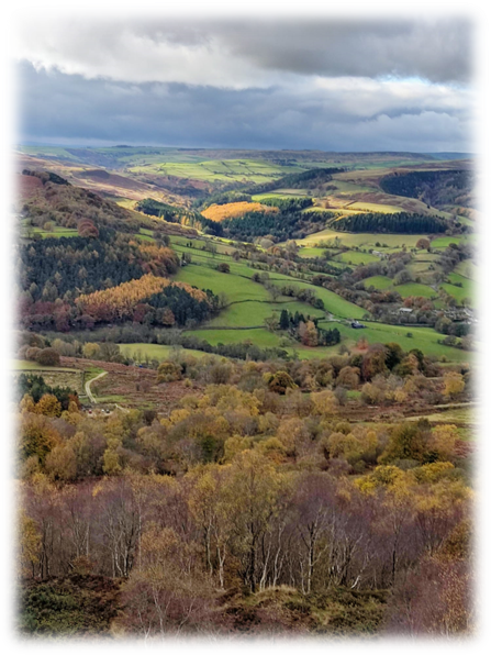 Nadav Amdursky tweet media