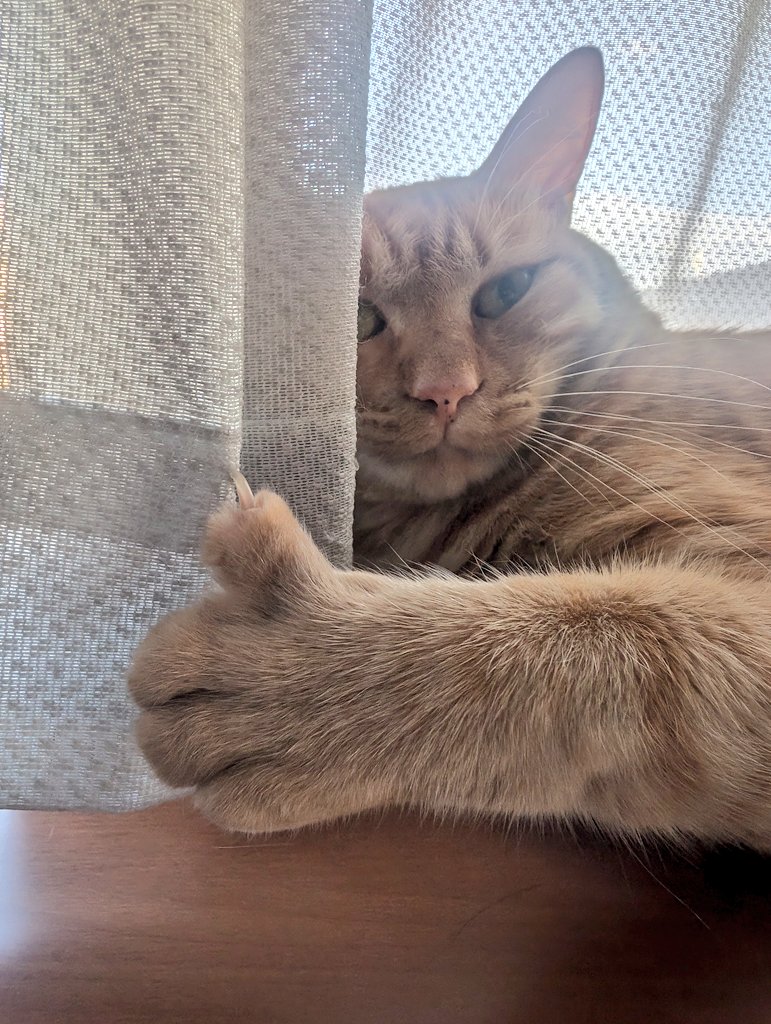 TAKUMI_Azur_LON on X