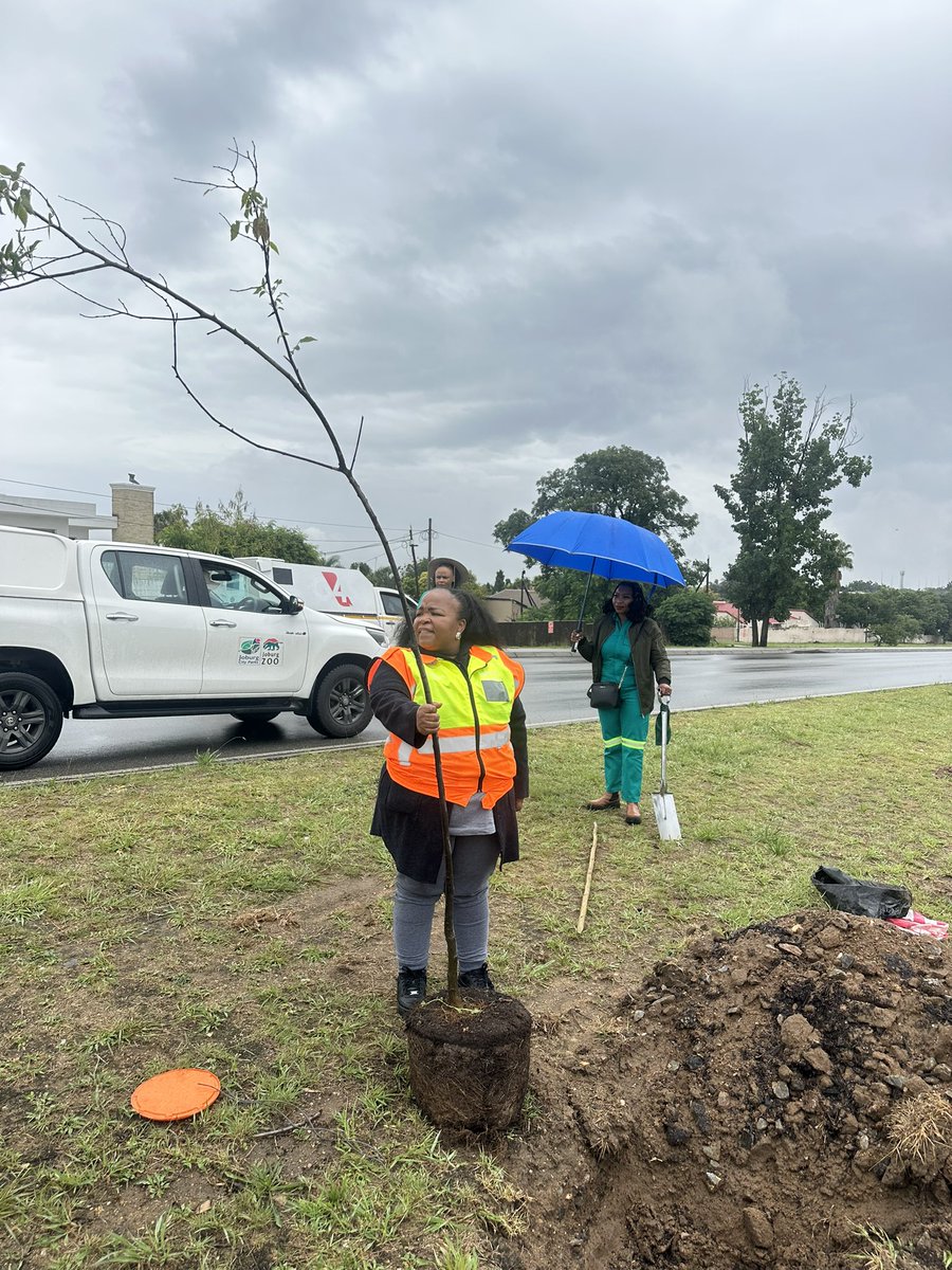 JoburgParksZoo tweet media