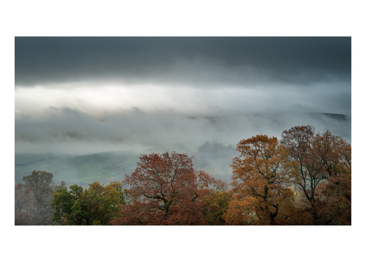Breaking low cloud passing through the Moffat Hills, above a multitude of autumn colour.

#Photography
#Scotland