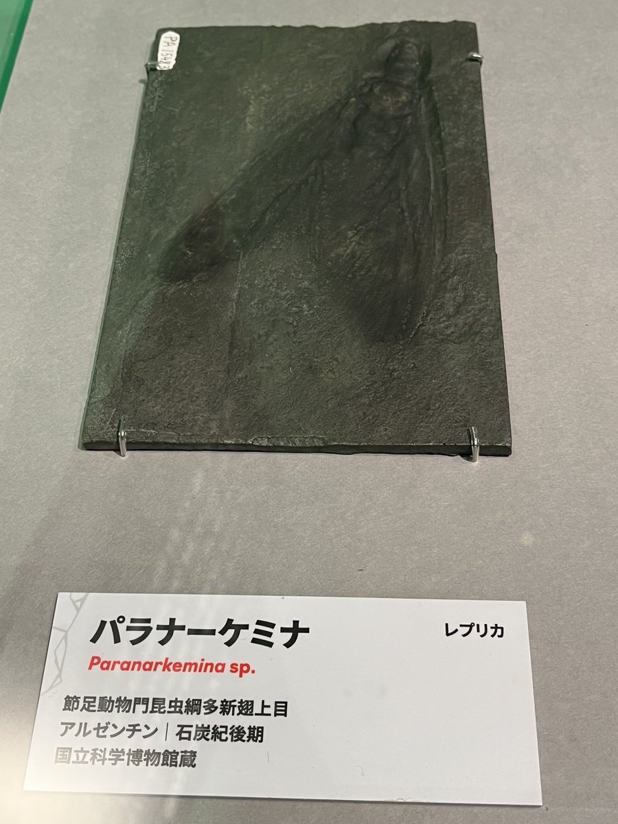 キンケツゥ・ナウ on X