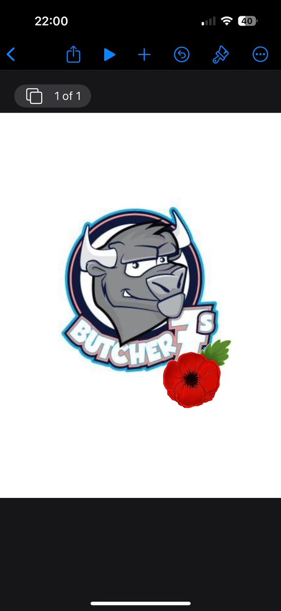 Lest we forget 🕊️🙏🏻

#ArmisticeDay