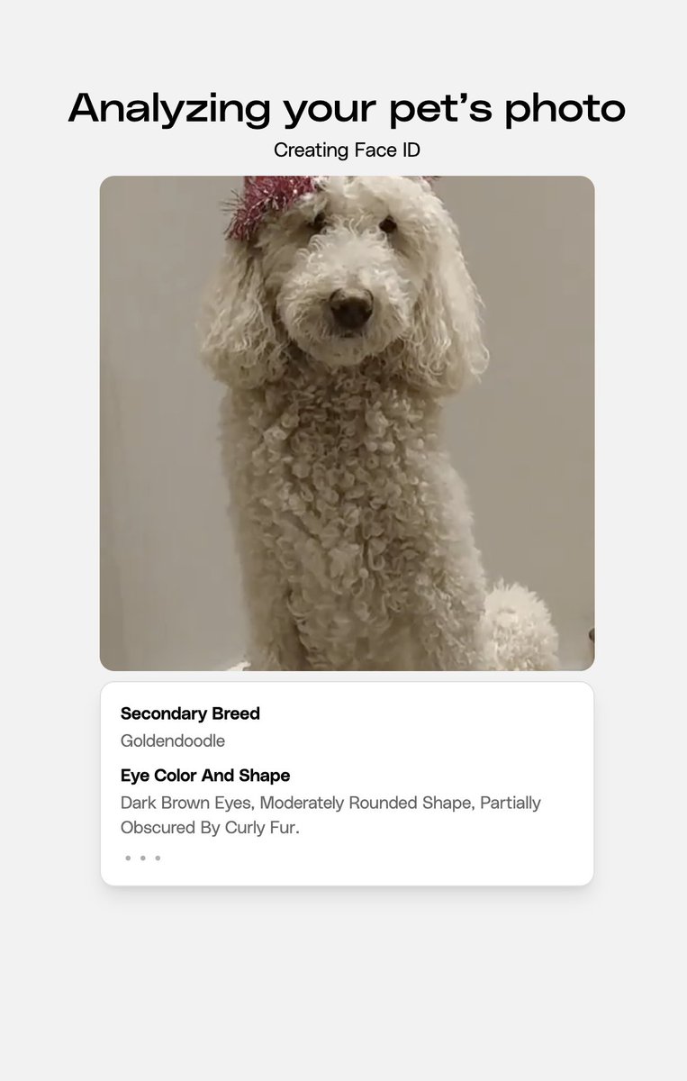 Petastic tweet media