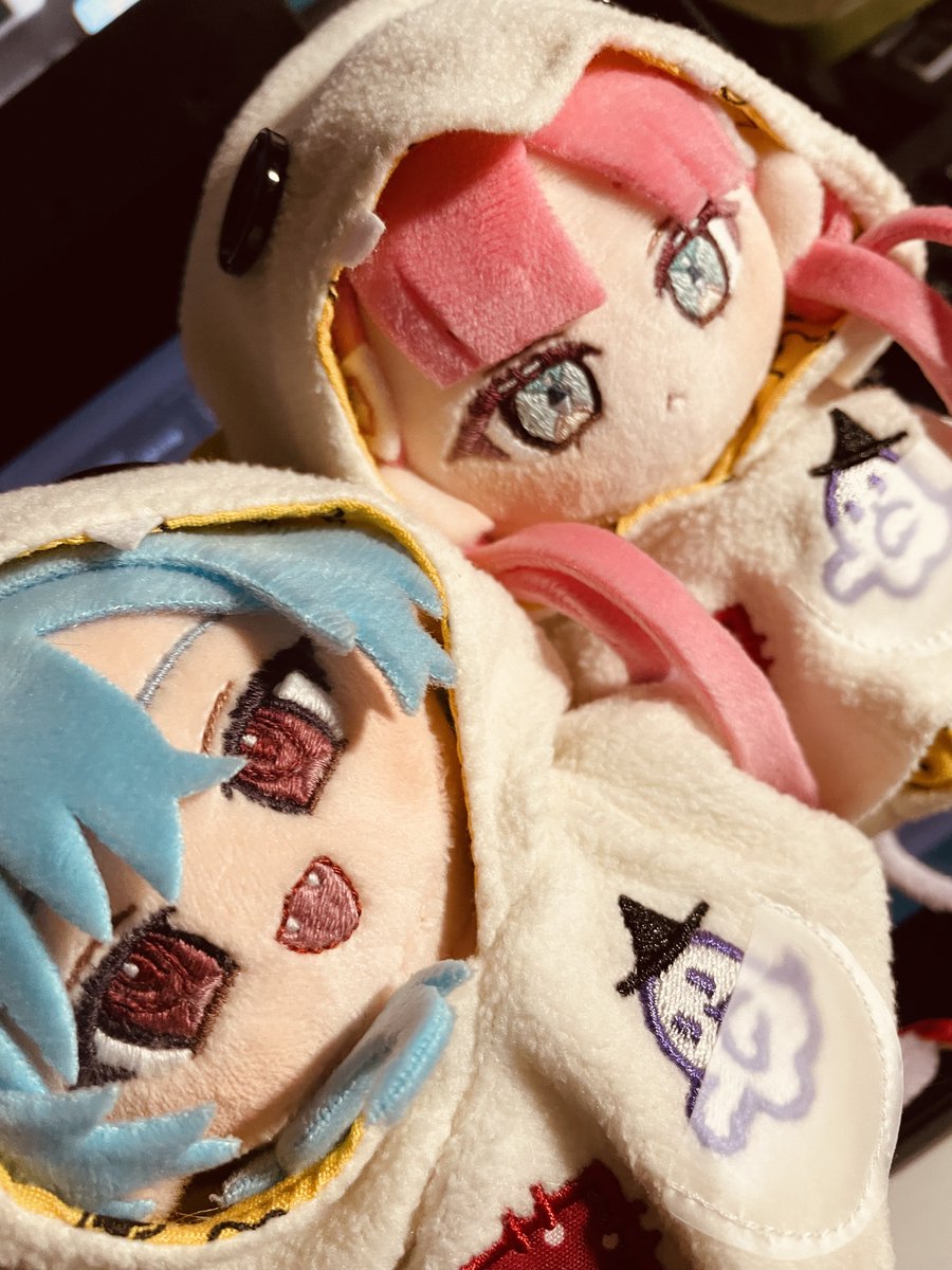 間違ってお洋服おそろで買っちゃったけど似合うのだ
#ねむぬいぬい