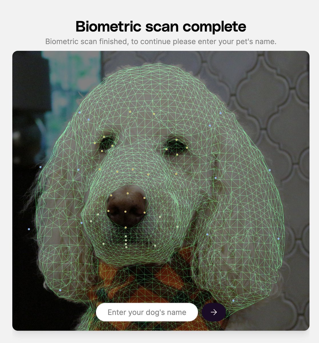 Petastic tweet media