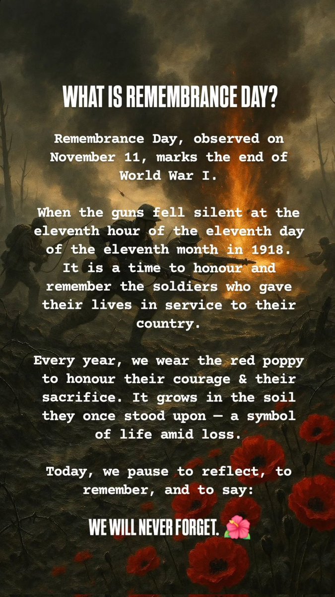 cosminking's tweet image. #RemembranceDay