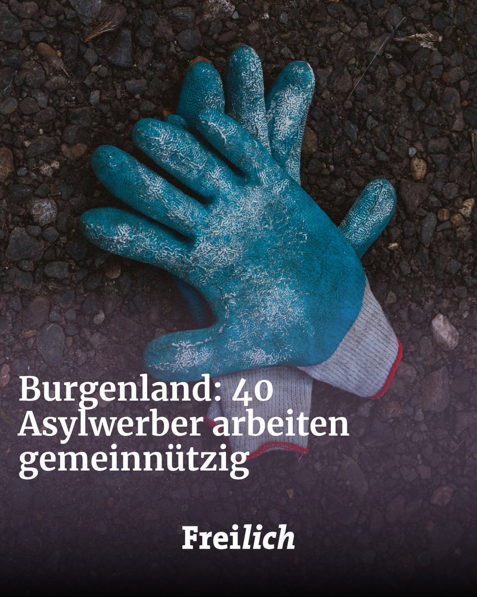 Seit dem 1. Juli müssen Asylwerber im Burgenland gemeinnützige Arbeit leisten, um weiterhin die Grundversorgung zu erhalten. Bereits 40 Personen sind im Einsatz, beispielsweise in Gemeinden oder der Baudirektion des Landes. Bisher hat niemand die Arbeit zweimal verweigert.