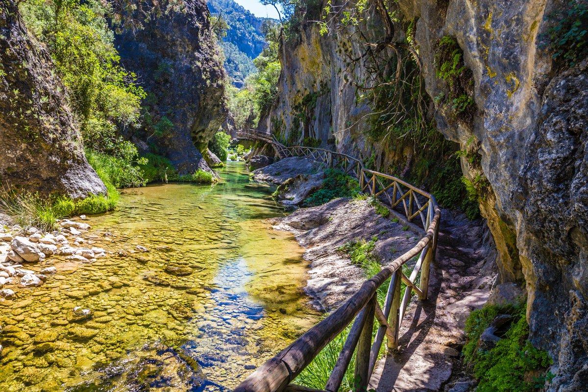 Fall in Spain is the best time to walk among beech forests, savor wines, and lose yourself in villages with history 🍁 Discover five destinations that combine nature, culture, and perfect peace to rediscover the country with all five senses

🎯 Find out more about this unique