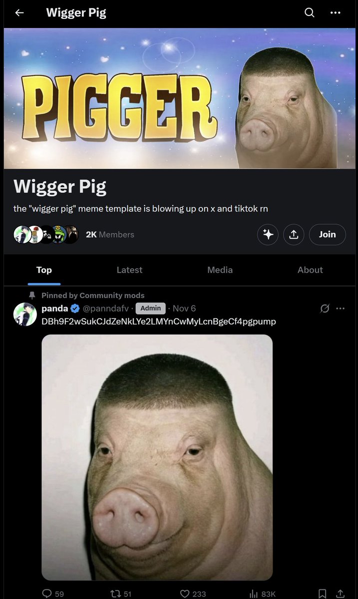 letto_dev's tweet image. this is an example of the most unprofessional community mods u would ever see. Dudes are sitting on a possible 50m+ runner with X and Elon mention soon and all they post is a basic low engagement slop