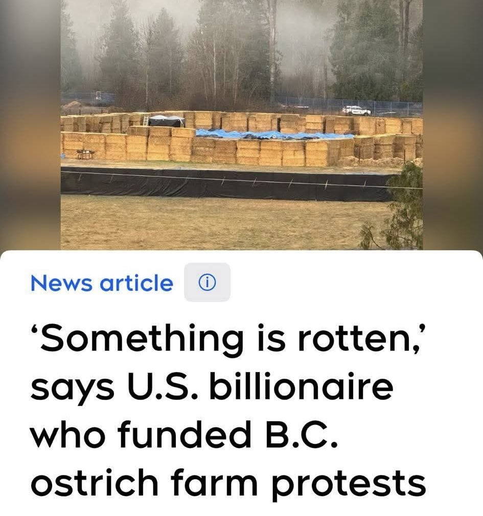 Supporters of the B.C. ostrich farm say they are looking at next steps after the Canadian Food Inspection Agency (CFIA) culled more than 300 ostriches last week.

Speaking in a virtual press conference Monday afternoon, U.S. billionaire John Catsimatidis, who has helped fund