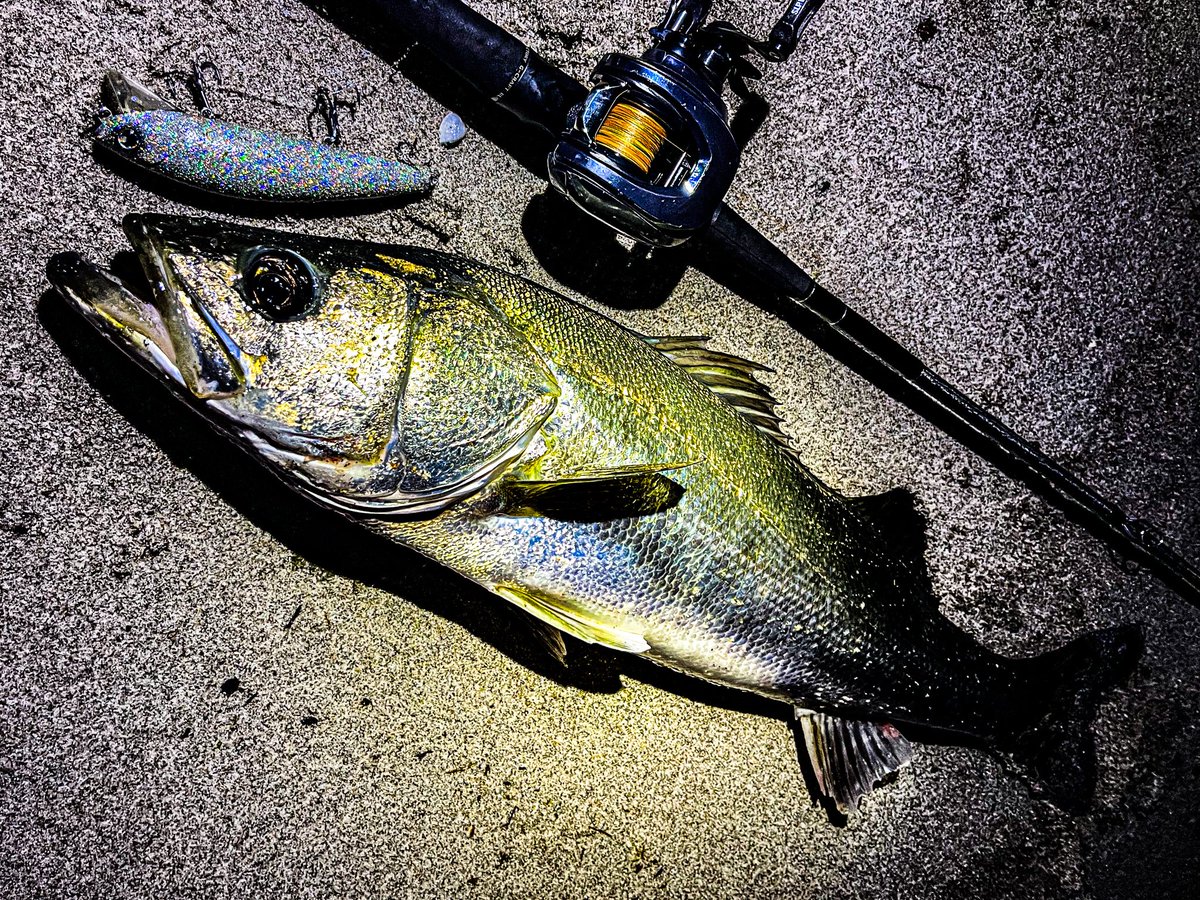 サイコデノツリダイスキ サイコデノツリダイスキ サイコデノツリダイスキ G-SLASHER | 株式会社