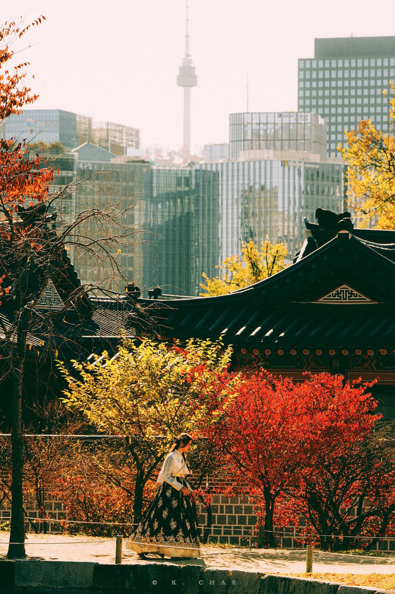 notseoul_k's tweet photo. Morning, Autumn in Seoul.
경복궁의 가을, 아침. https://t.co/sXYzNwfiFb