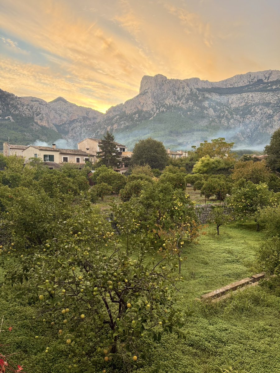 How I love November. A time for nature to recover &amp; reign once more ☀️🍃🍂🌳