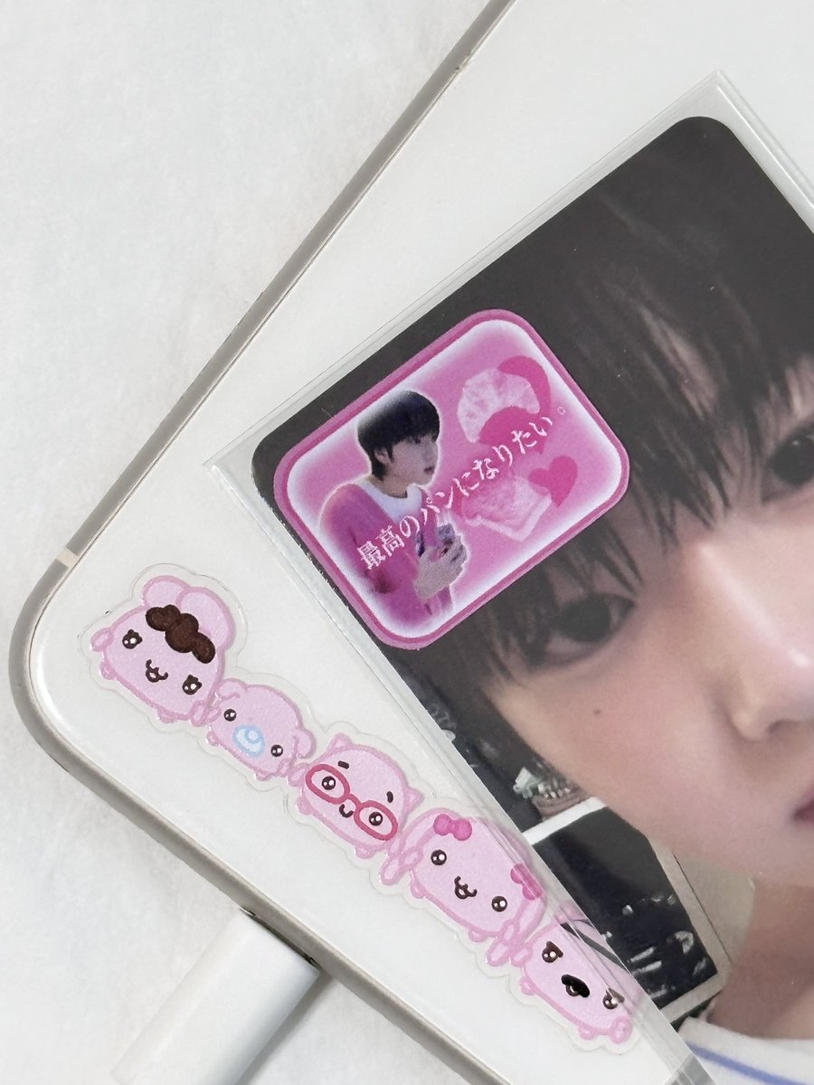 사쿠야군💞🐖🪽🐽