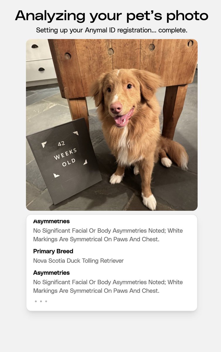 Petastic tweet media