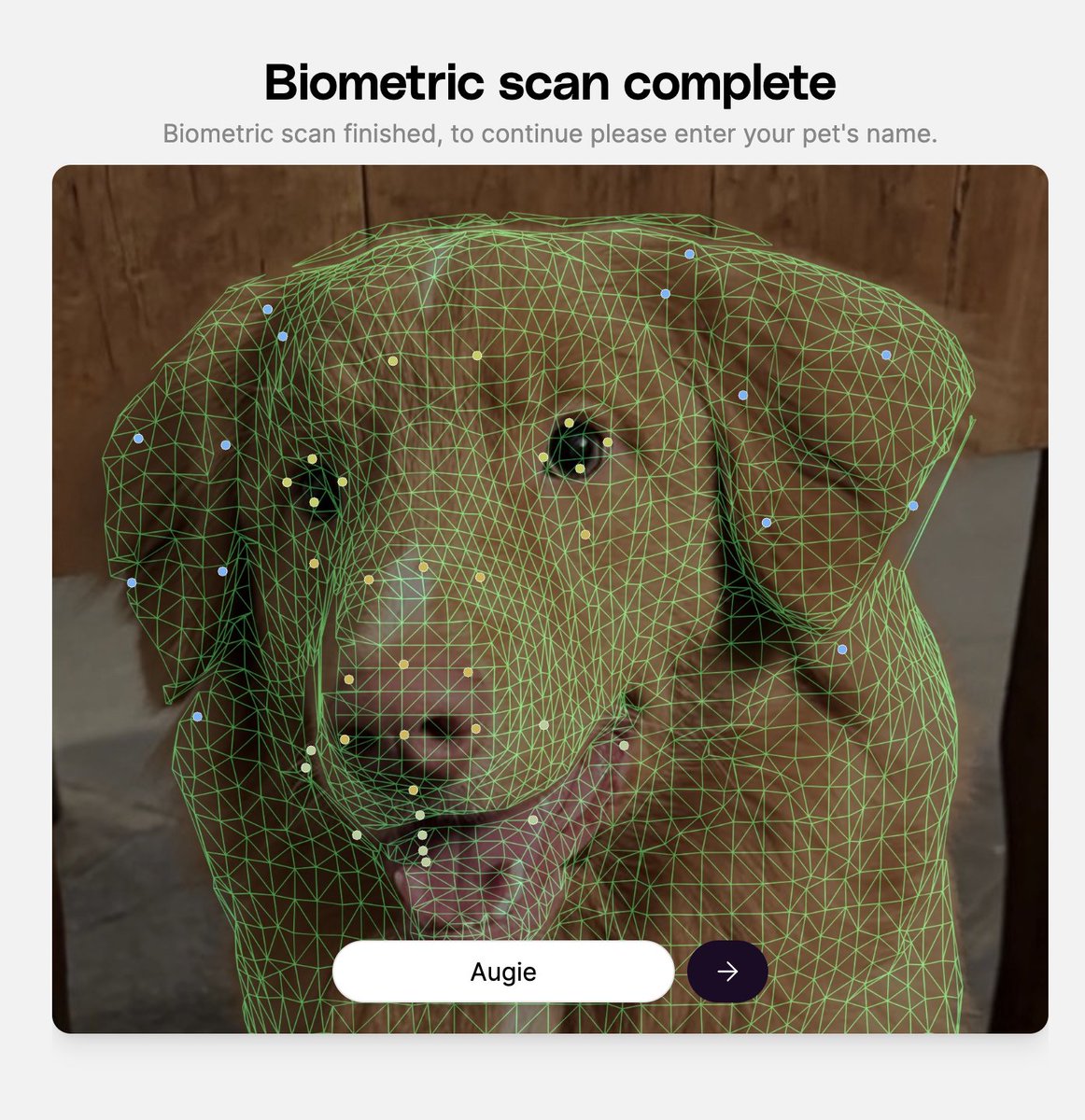 Petastic tweet media