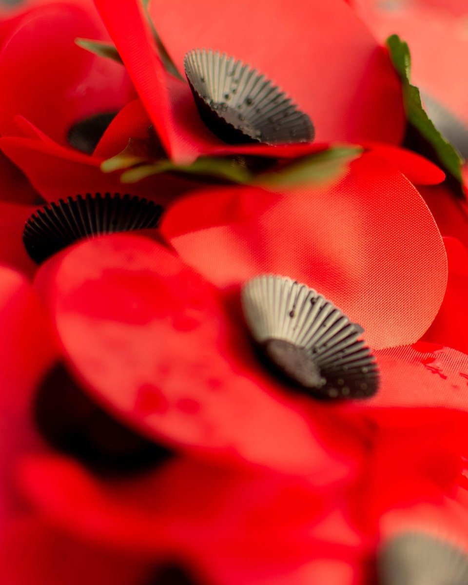 RotundaKingston's tweet photo. Lest we forget 🖤

At the going down of the sun and in the morning, we will remember them. https://t.co/NxJ3LkIZUP