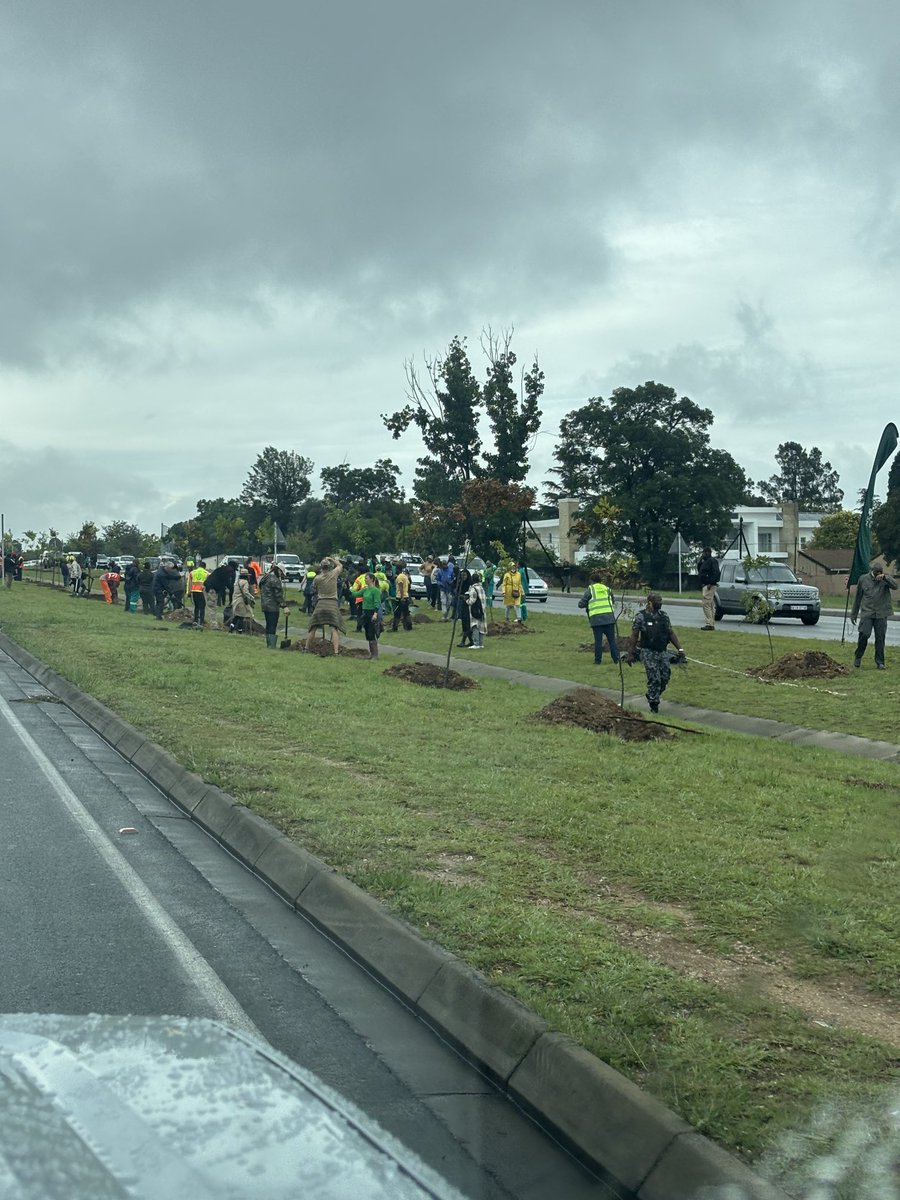 wayneduv's tweet image. Lots of tree planting and route beautification taking playing place along Winnie Mandela Drive. I can only imagine this is a “G20 route”.