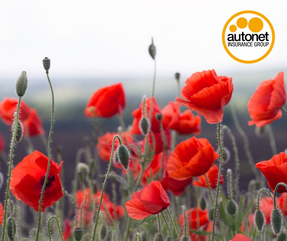 Autonet Insurance tweet media