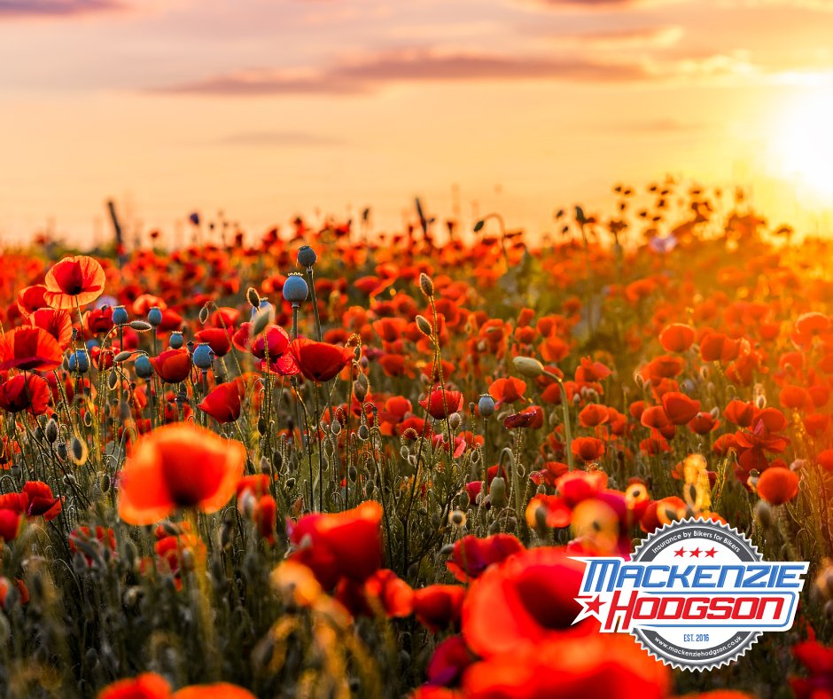 Mackenzie Hodgson Insurance tweet media