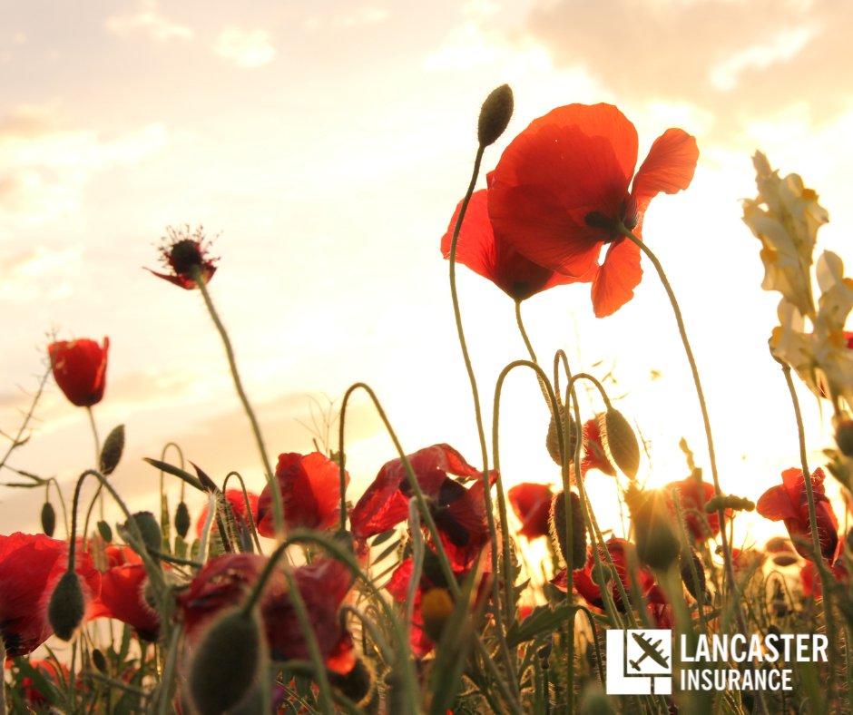 We will be observing the national 2 minutes silence today at 11am, if you’re on the line at that time we’ll make you aware of this, the line will go silent but please hold whilst we pay our respects. #WeWillRememberThem