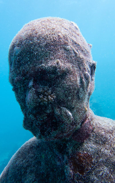 Divers in Townsville can explore a unique underwater gallery where art meets science, the Museum of Underwater Art (MOUA), blending creativity, conservation &amp; community action to protect the world’s largest coral reef system.
news.scubatravel.co.uk/underwater-art… 📷sydbell11, CC BY-NC 4.0