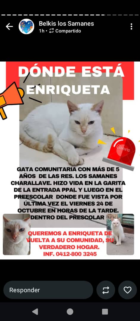Atención. Se busca.