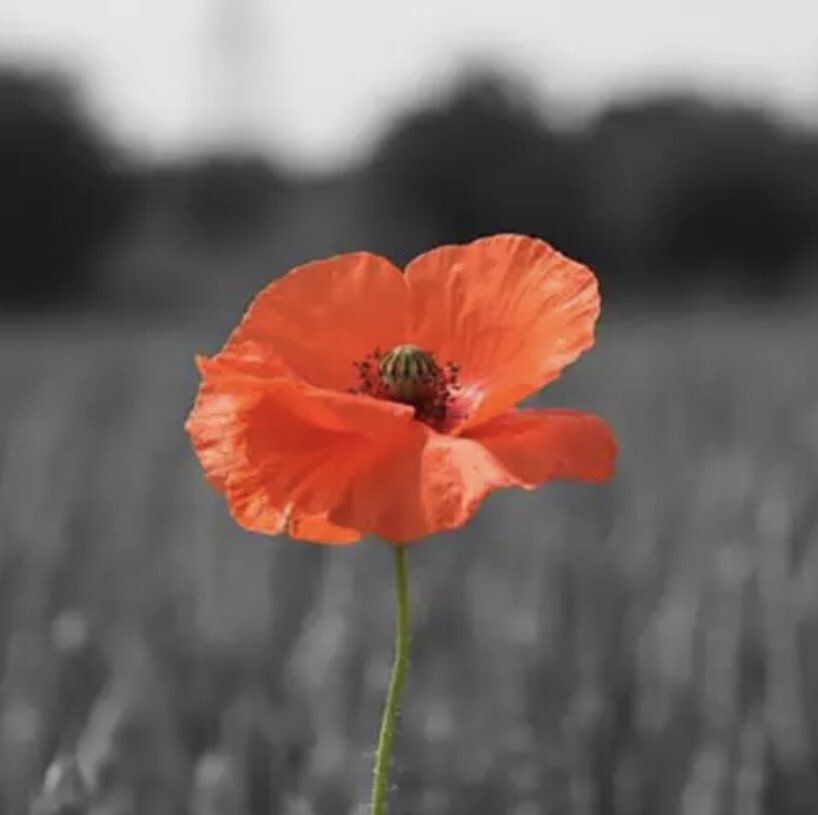 KirbyComms's tweet image. 