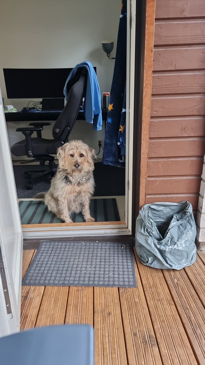 codeforwhat's tweet image. Bizi gezdir!!!