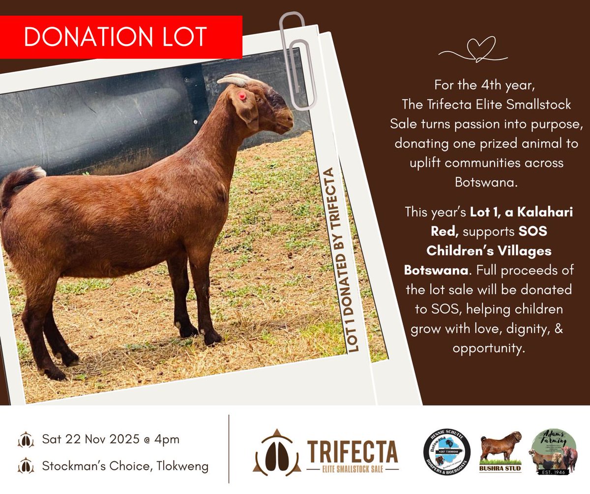 We are honored to be the beneficiary of the Trifecta Elite Smallstock Sale 2025! 

100% of proceeds from Lot 1, a Kalahari Reds beauty will support children at SOS Children's Village,  Tlokweng.

Thank you for giving where it matters most. 

#banabakebarona