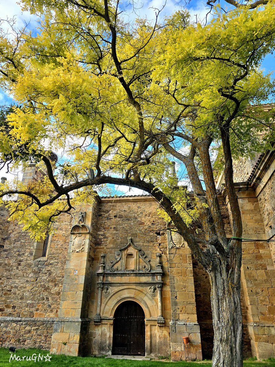 gn_maru's tweet image. &quot;Sólo desde una calma interna, el hombre fue capaz de descubrir y formar entornos tranquilos&quot;.
Stephen Gardiner
#thicktrunktuesday #tree #Motivation #FraseDelDía #quotes #photo #Fotos #hacerfotos